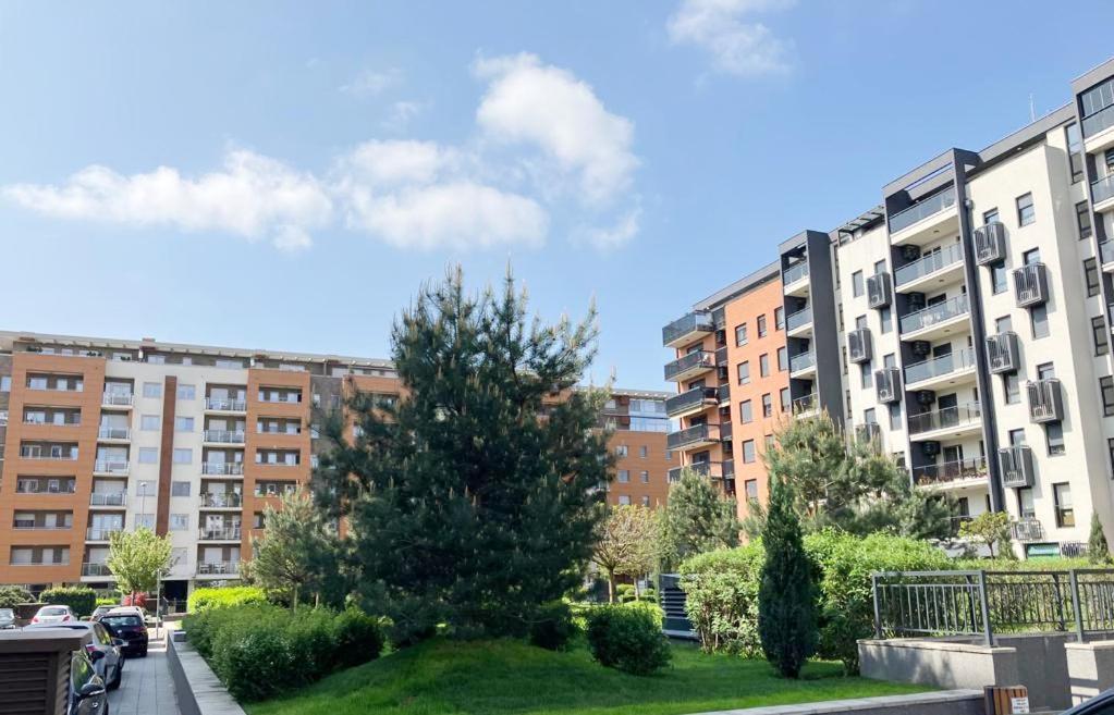 Cozy Nest Savada Lägenhet Belgrad Exteriör bild